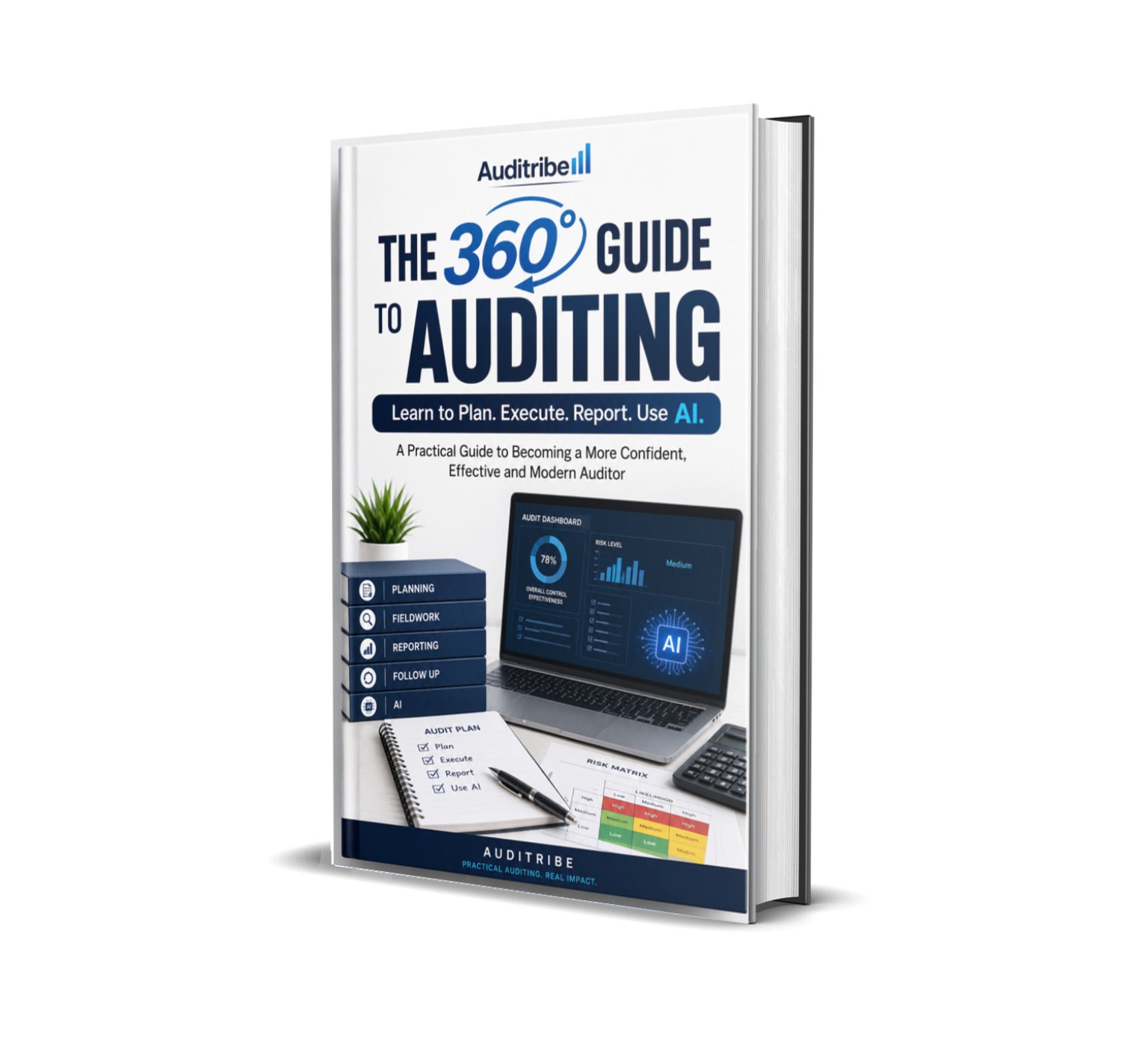 The 360 Degree Guide to Auditing